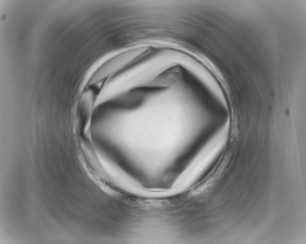 X0000085830862200704132036
