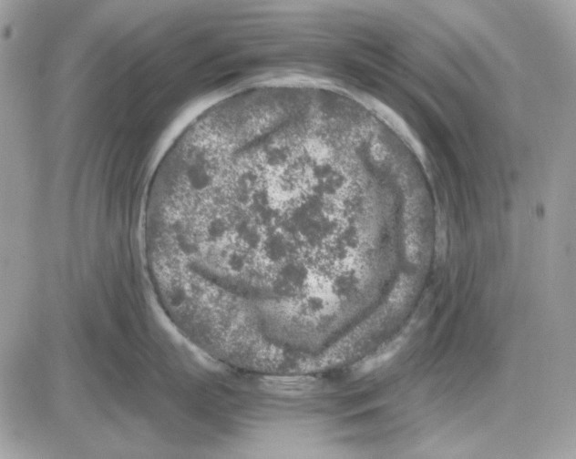 X0000085830863200704132036