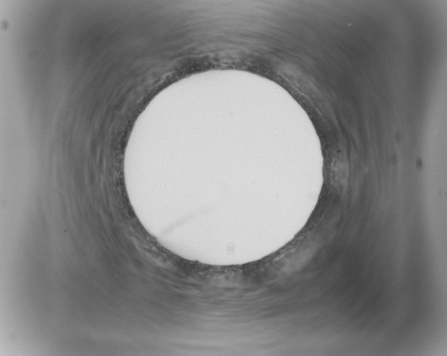 X0000085830865200704132035