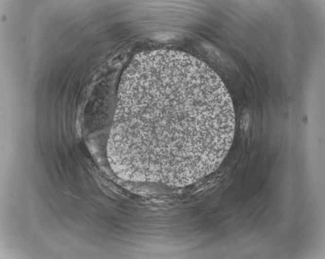 X0000085830868200704132035