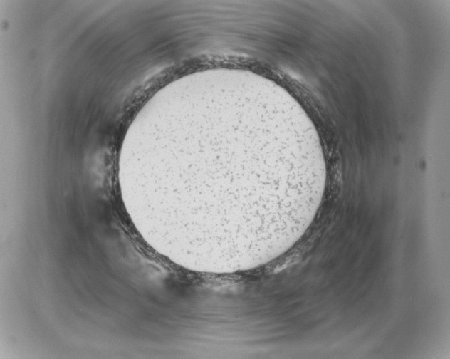 X0000085830870200704132035