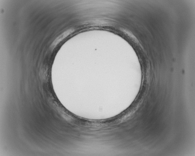 X0000085830873200704132035