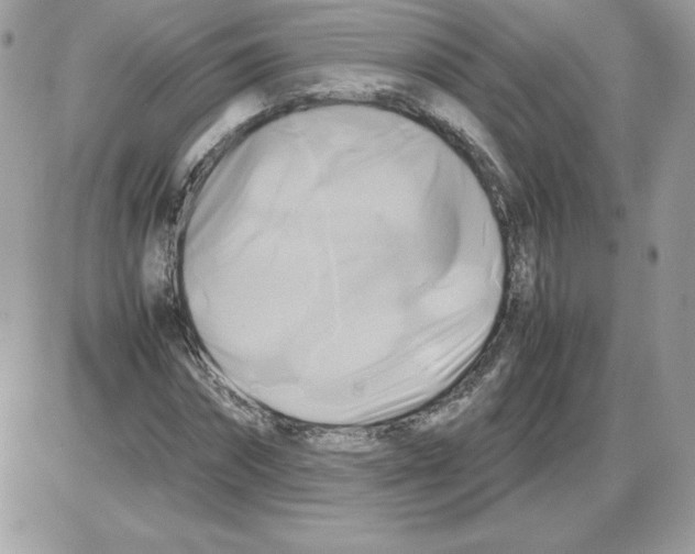 X0000085830874200704132035