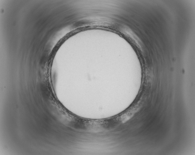 X0000085830875200704132035