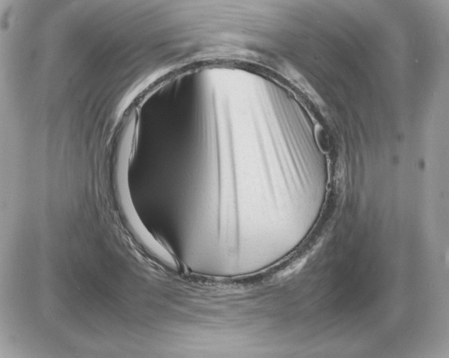 X0000085830877200704132035