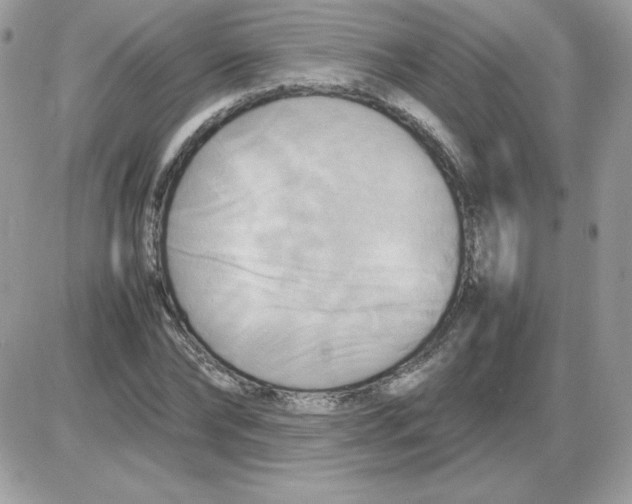 X0000085830878200704132035