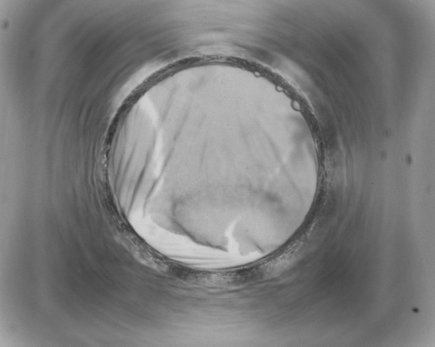 X0000085830879200704132035