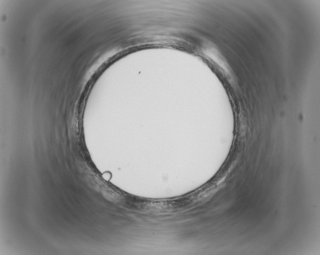 X0000085830883200704132035
