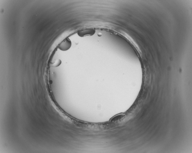 X0000085830901200704132034