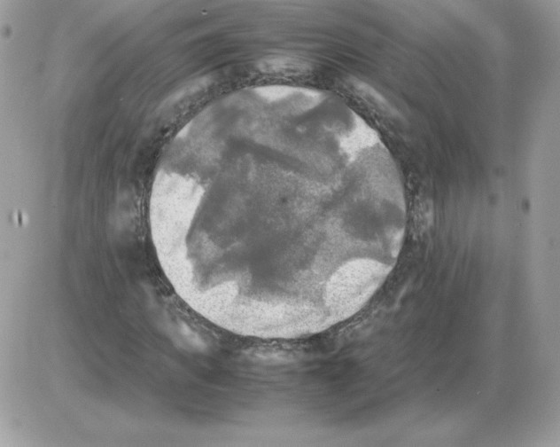 X0000085830917200704132033