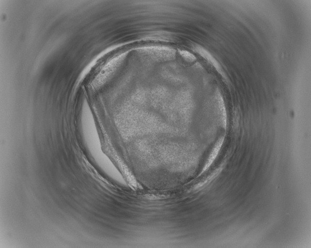 X0000085830923200704132034