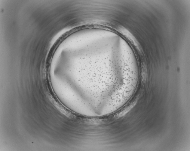 X0000085830924200704132034