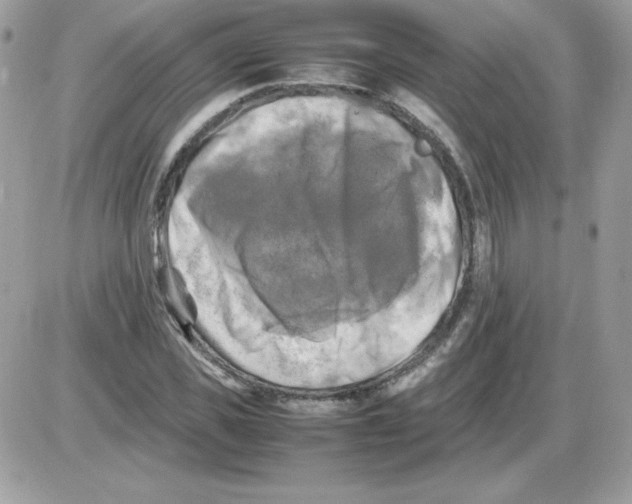 X0000085830925200704132034