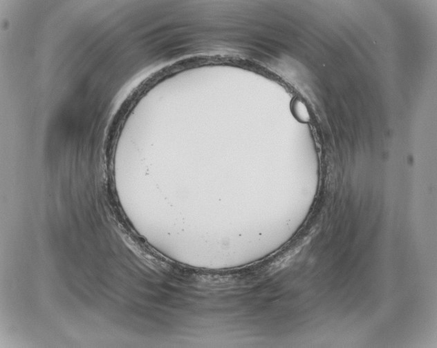 X0000085830927200704132034