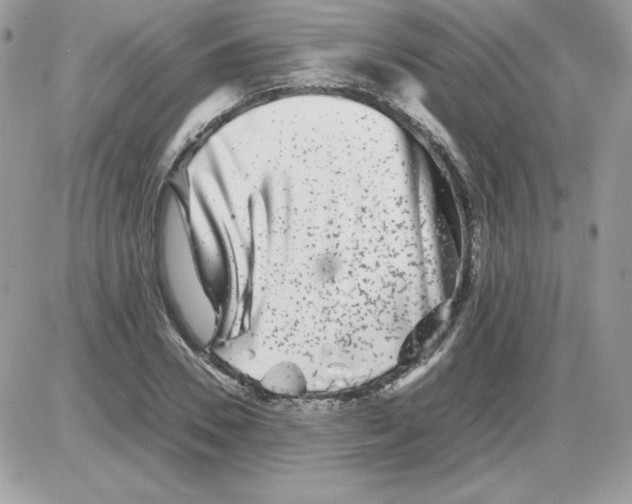 X0000085830930200704132034