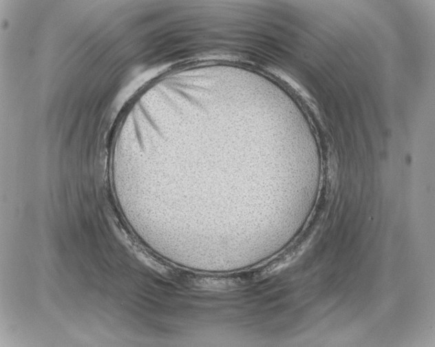 X0000085830933200704132034