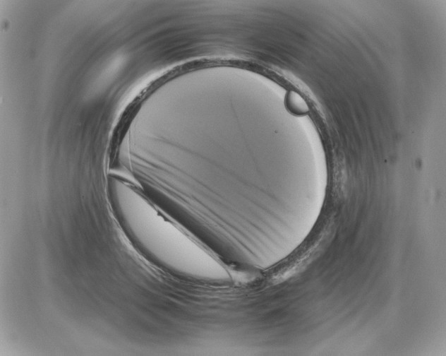 X0000085830935200704132034
