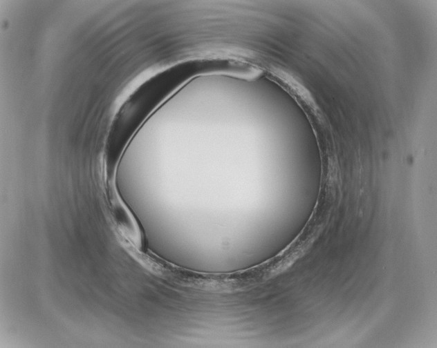 X0000085830936200704132034