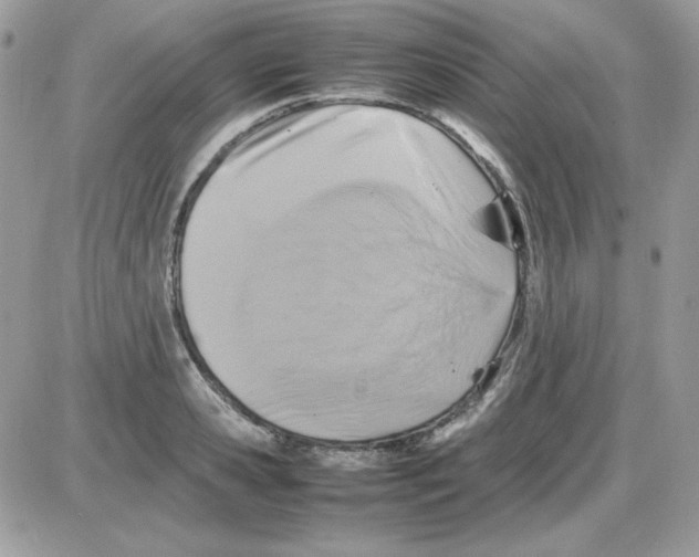 X0000085830941200704132034