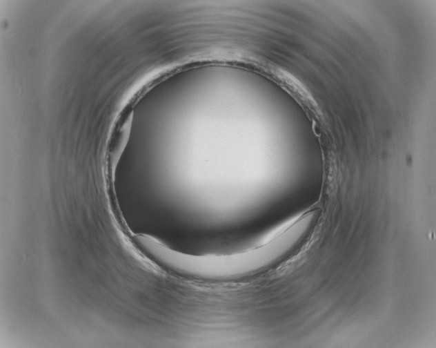 X0000085830942200704132034