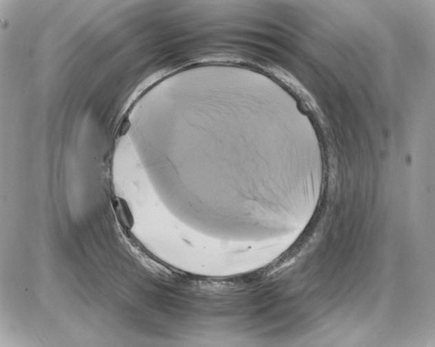 X0000085830945200704132034