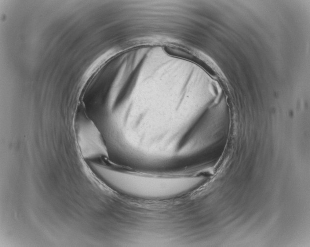X0000085830946200704132034