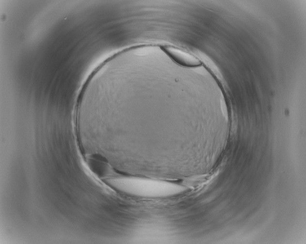 X0000085830958200704132034