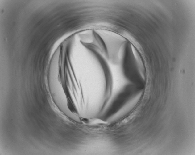 X0000085830960200704132034