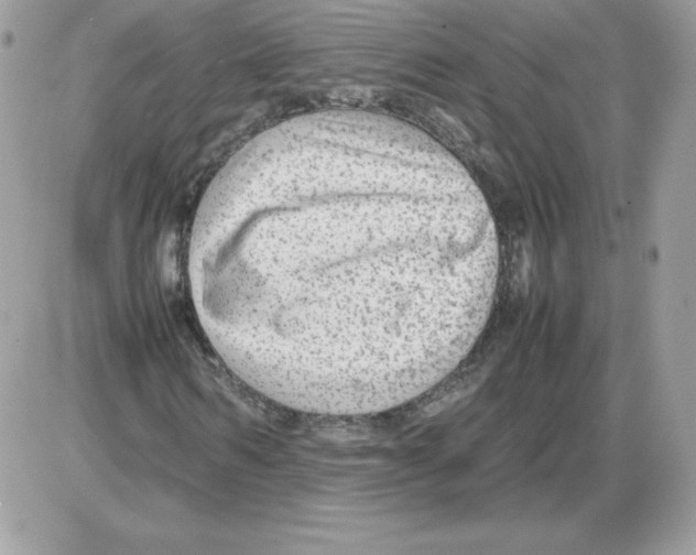 X0000085830962200704132033