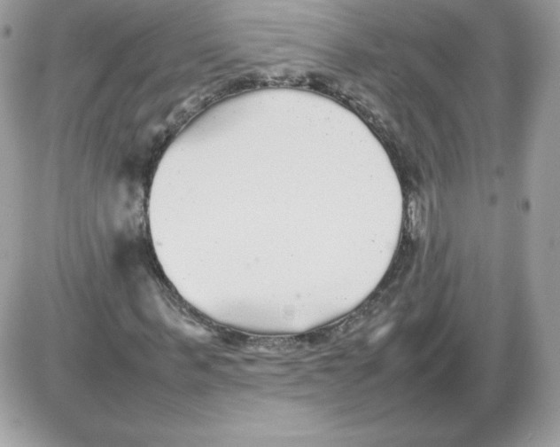 X0000085830963200704132033