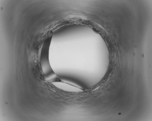 X0000085830965200704132033