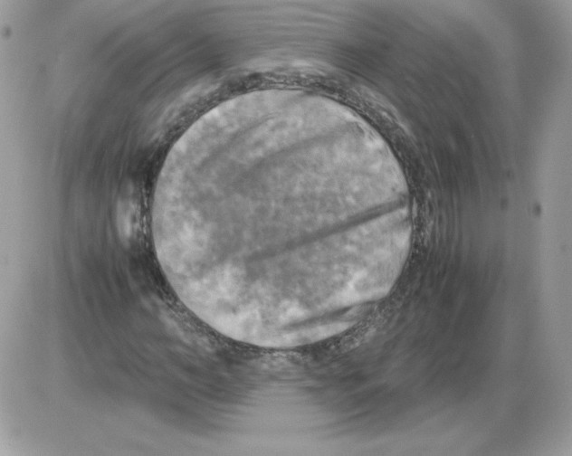 X0000085830966200704132033