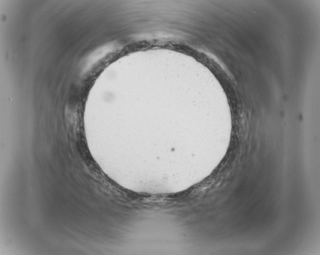 X0000085830967200704132033
