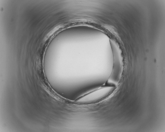 X0000085830969200704132033