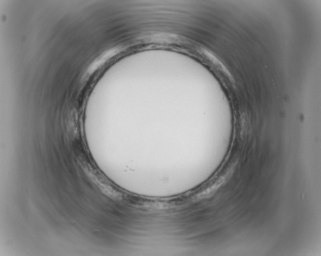 X0000085830970200704132033