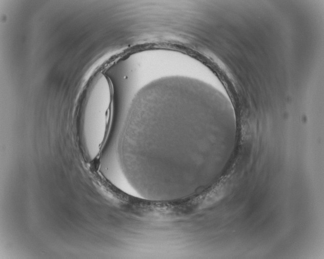X0000085830975200704132033