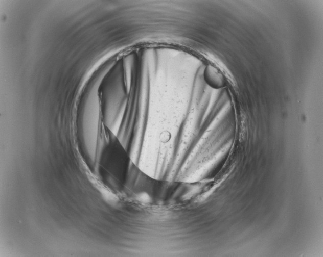 X0000085830976200704132033