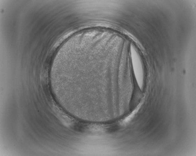 X0000085830977200704132033