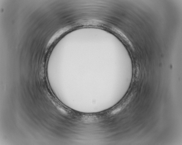 X0000085830978200704132033