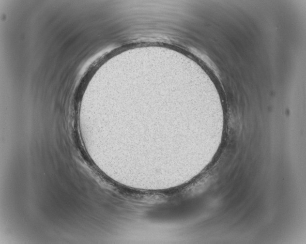 X0000085830979200704132033