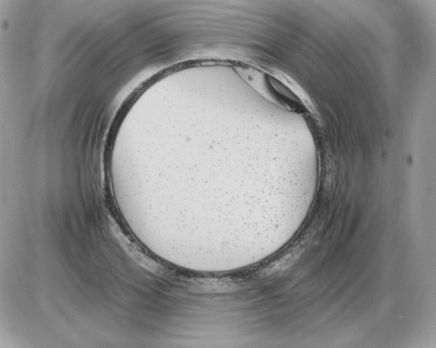 X0000085830980200704132033