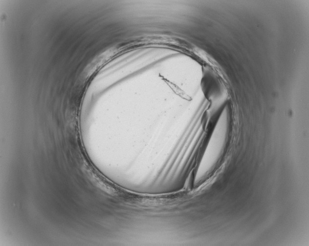 X0000085830985200704132033