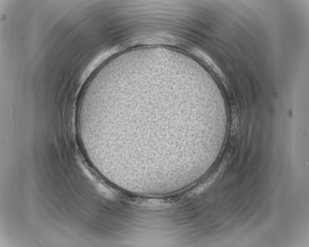 X0000085830986200704132033