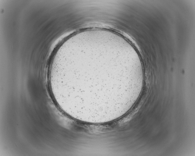 X0000085830987200704132033
