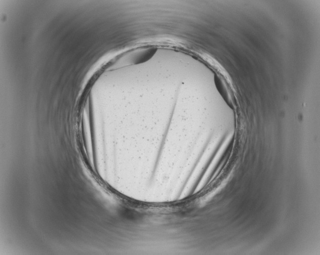 X0000085830989200704132033