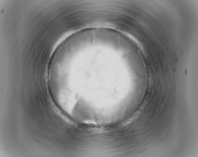 X0000085830990200704132033