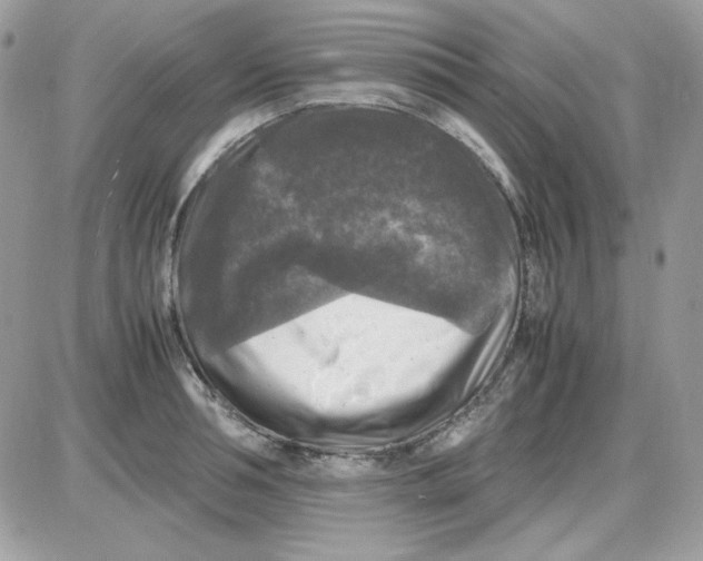 X0000085830994200704132033