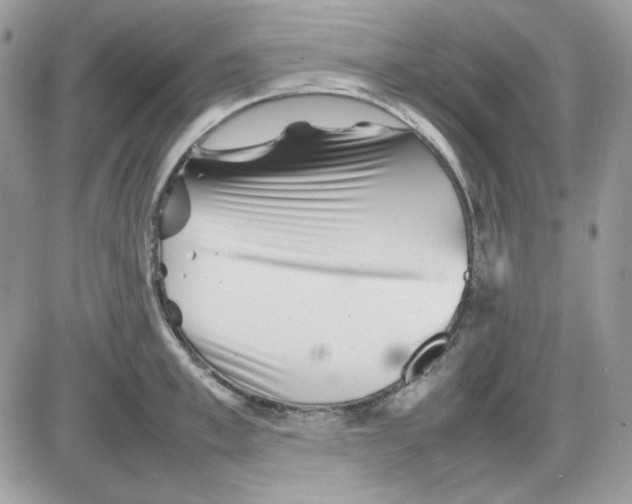 X0000085830997200704132033