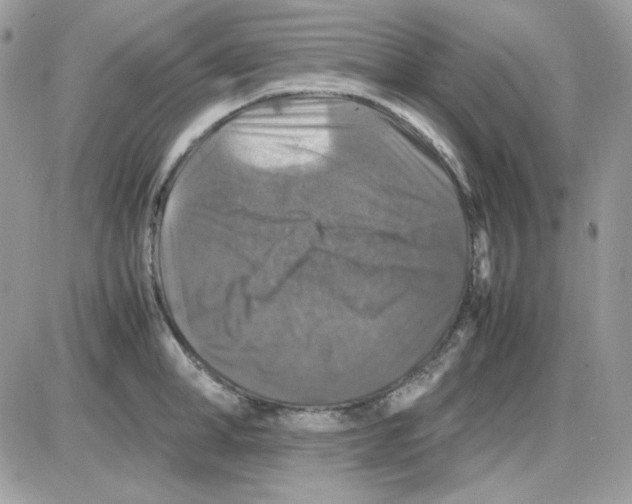 X0000085830998200704132033