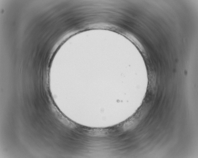 X0000085831000200704132033
